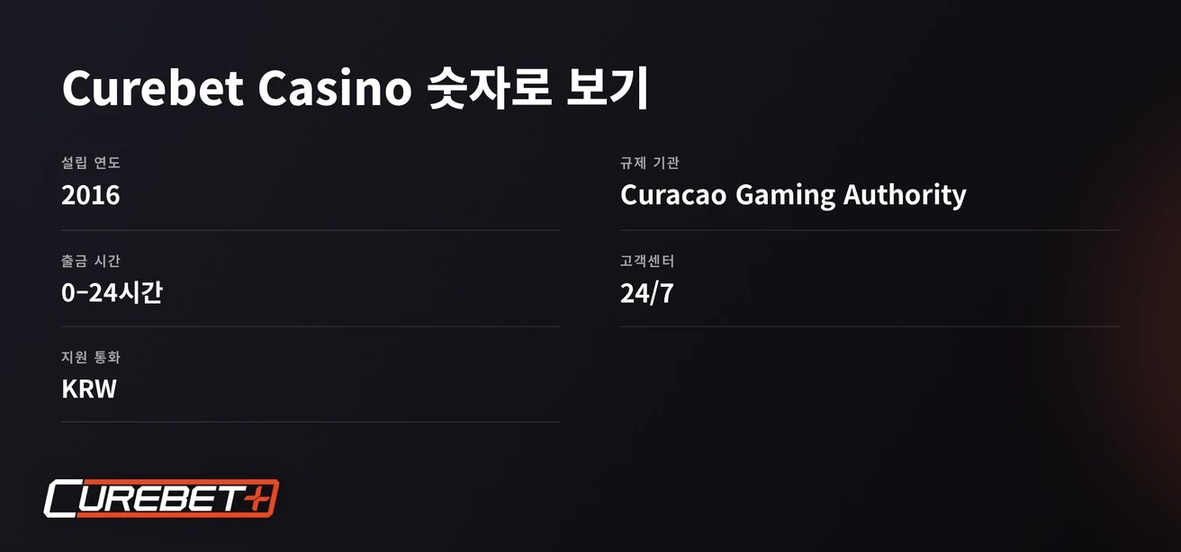 카지노 정보 확인하기
